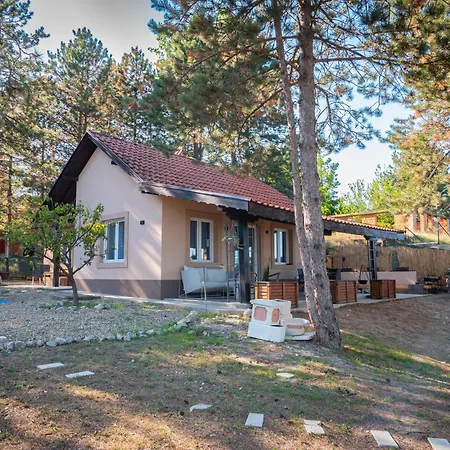 Borova Bajka Semesterbostad Usije