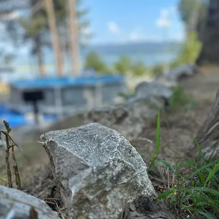 Borova Bajka * Usije