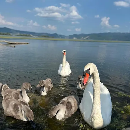 Borova Bajka Holiday home Usije