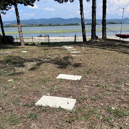Borova Bajka Usije
