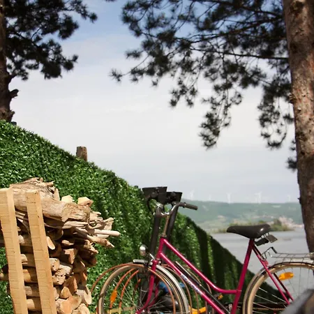 Borova Bajka Semesterbostad *