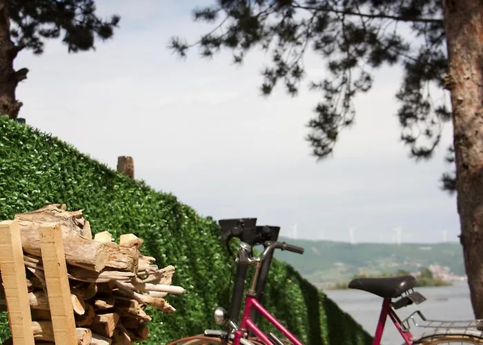 Borova Bajka 펜션 *