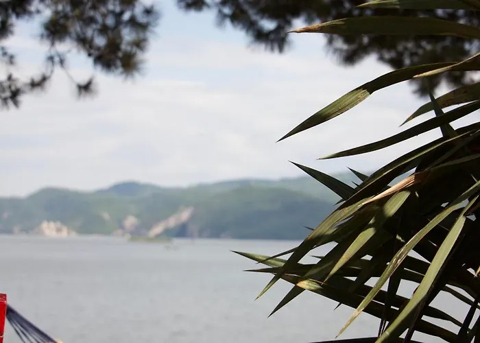 Borova Bajka 펜션 Usije